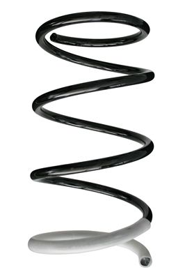 Arc spiral SPIDAN 86408