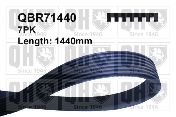 Pasek klinowy wielorowkowy QUINTON HAZELL QBR71440