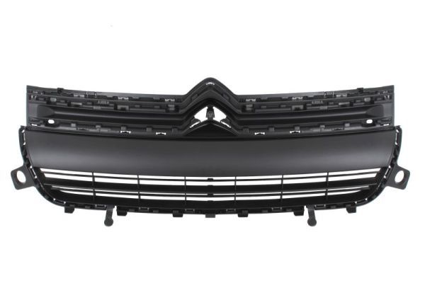 Grila radiator BLIC 6502-07-0554990Q