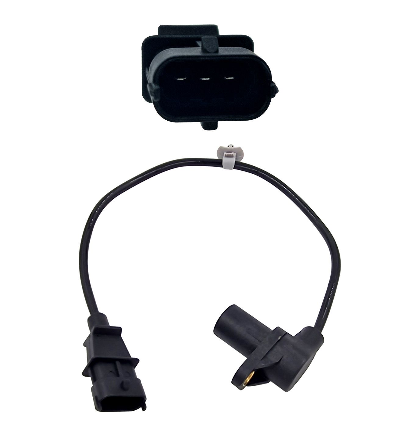 ELTA - Crankshaft Sensor