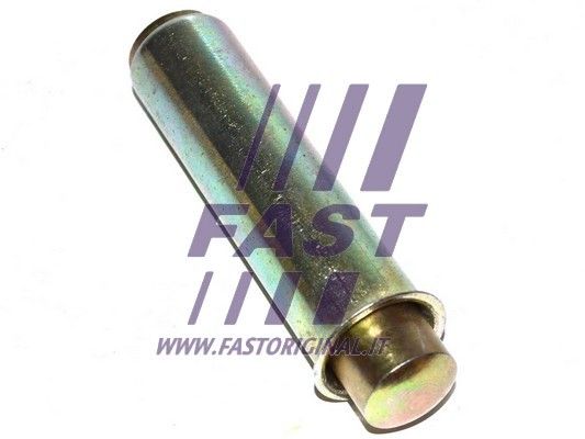 Rolka napinacza, pasek rozrządu FAST FT44081
