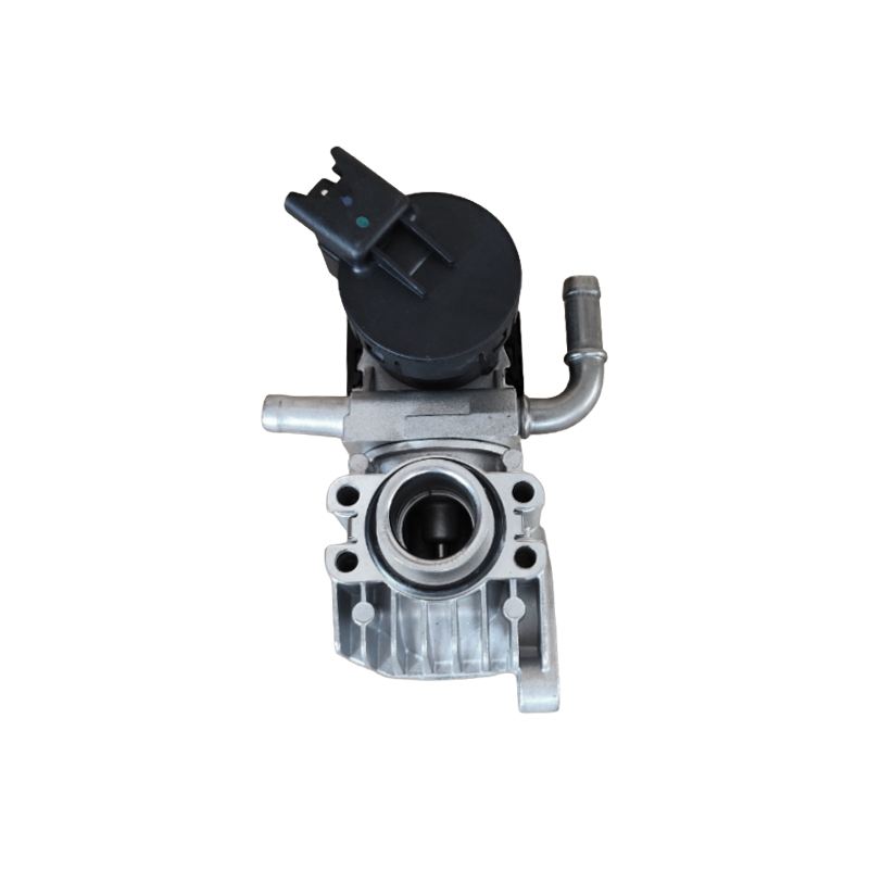 Vanne EGR OE BMW 11717548415