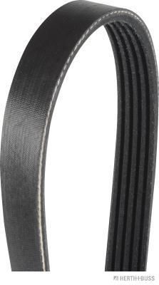 Pasek klinowy wielorowkowy HERTH+BUSS JAKOPARTS J1051453
