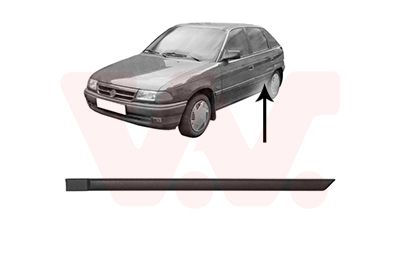 Elemente decorative/protectie, portiera VAN WEZEL 3734425