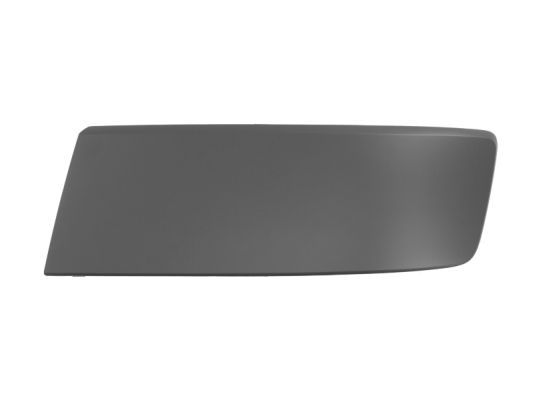 Ehis-/kaitseliist,Põrkeraud