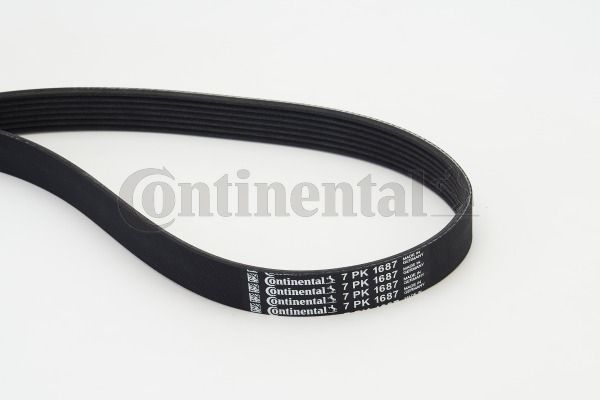 Pasek klinowy wielorowkowy CONTINENTAL CTAM 7PK1687