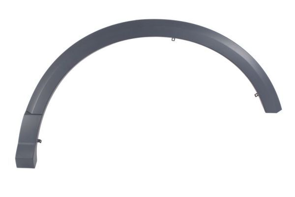 Ehis-/kaitseliist,Poritiib