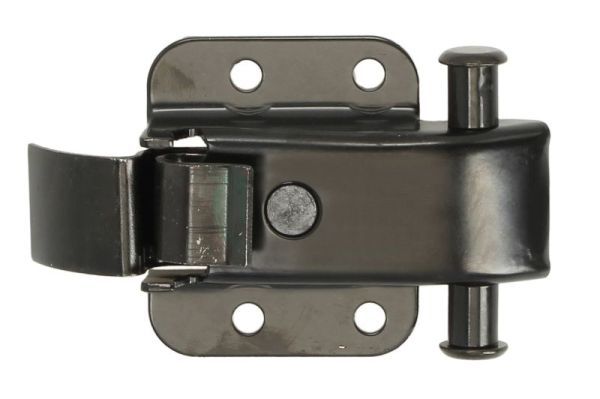 Fixare usa BLIC 6010-01-047431T