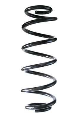 Arc spiral SPIDAN 85553