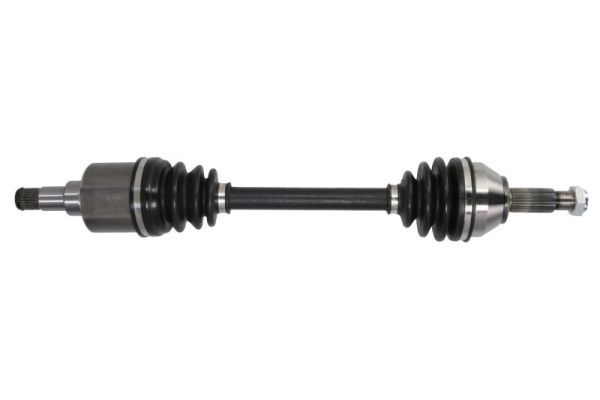 Planetara PASCAL G2G036PC