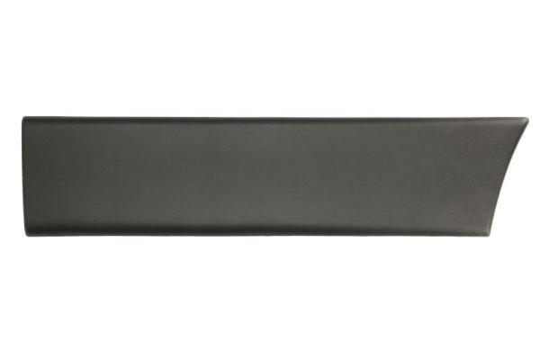 Ehis-/kaitseliist,Poritiib