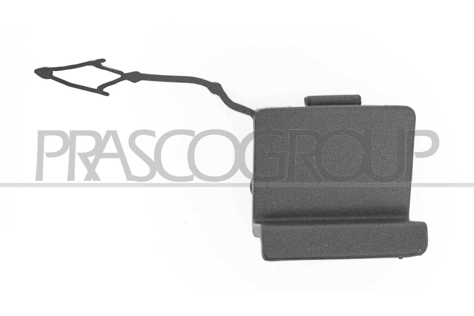 PRASCO VG4041286