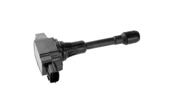 bobina de inductie MTR 12223018