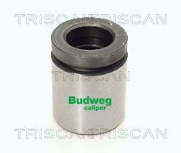 Tłoczek, zacisk hamulca TRISCAN 8170 234221