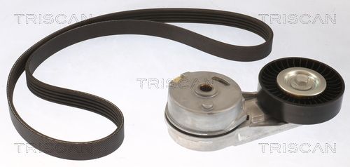 Zestaw paska klinowego wielorowkowego TRISCAN 8642 10028