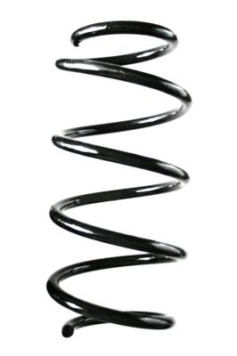 Arc spiral SPIDAN 88377