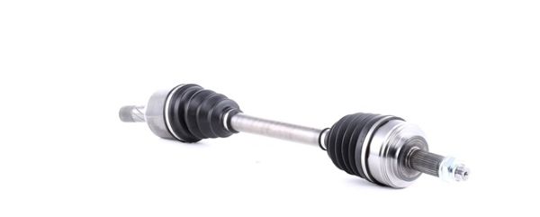 Planetara MTR 12139237