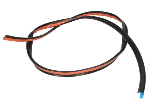 Elemente decorative/protectie, parbriz BLIC 5703-04-6037188Q