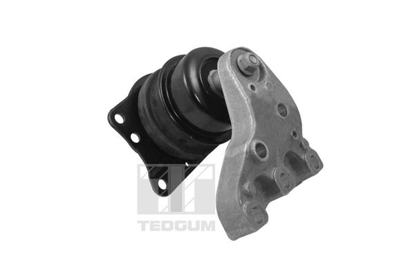 Suport motor TEDGUM 00729417