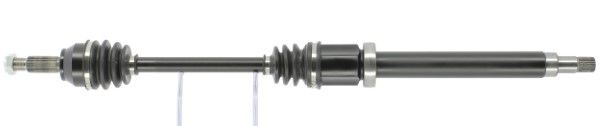Planetara MTR 13216964