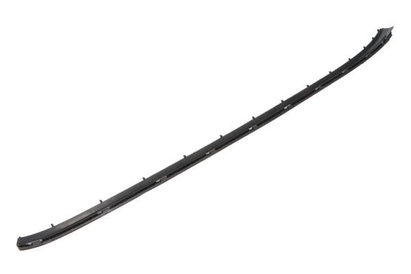 Elemente decorative/protectie, parbriz BLIC 5703-04-6037376Q