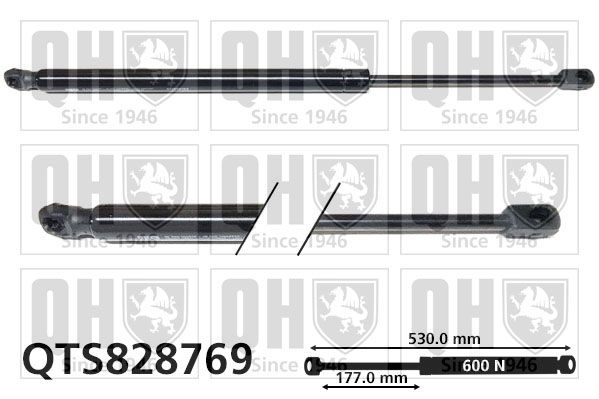 Sprężyna gazowa, pokrywa bagażnika QUINTON HAZELL QTS828769