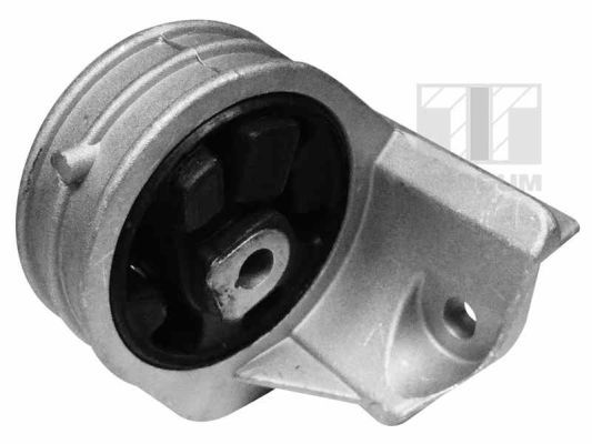Łożyskowanie silnika TEDGUM 00585856