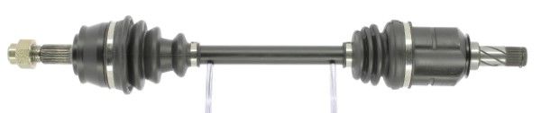 MTR 13216910