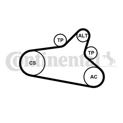 Zestaw paska klinowego wielorowkowego CONTINENTAL CTAM 6PK1020 EXTRA K1