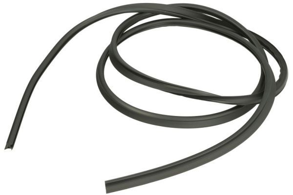 Elemente decorative/protectie, parbriz BLIC 5703-04-6037663Q