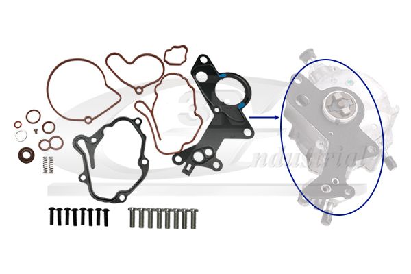 Set reparatie, pompa vacuum (Siste frana) 3RG 74700