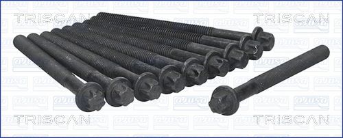 Zestaw śrub głowicy cylindrów TRISCAN 98-5532