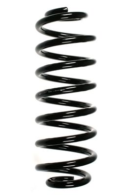 Arc spiral SPIDAN 55102