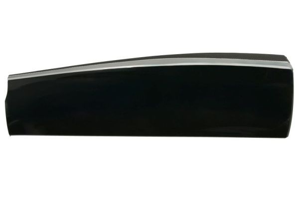 Elemente decorative/protectie, portiera BLIC 5703-04-7807578P