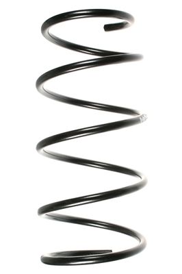 Arc spiral SPIDAN 49170