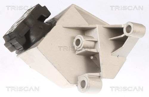 Łożyskowanie silnika TRISCAN 8505 25110