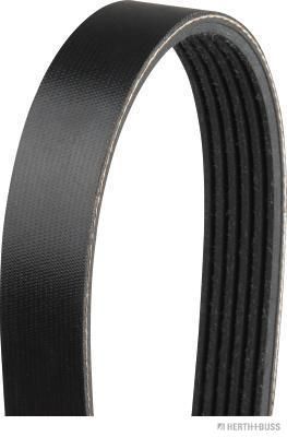Pasek klinowy wielorowkowy HERTH+BUSS JAKOPARTS J1061325