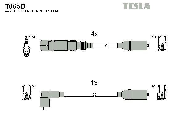 Set cablaj aprindere TESLA T065B