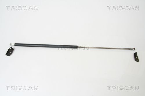 Газовая пружина, крышка багажник