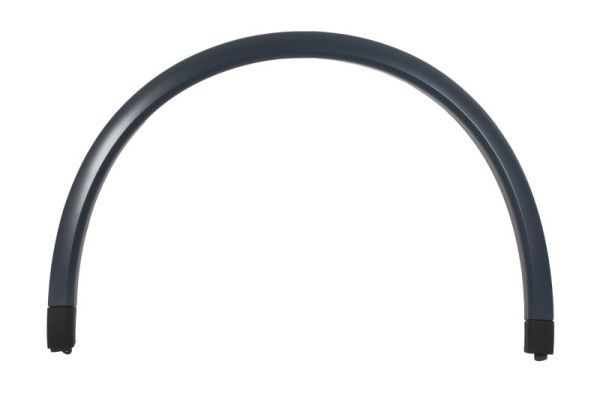 Ehis-/kaitseliist,Poritiib