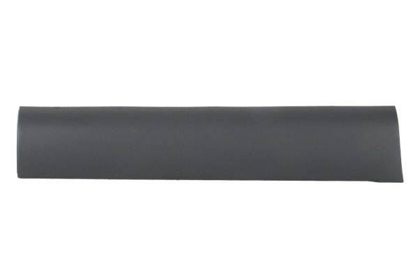 Elemente decorative/protectie, portiera BLIC 5703-04-6460578P