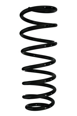 Arc spiral SPIDAN 85698