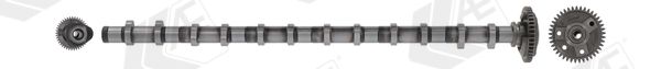 Ax cu came AE CAM1028