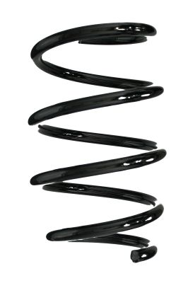 Arc spiral SPIDAN 86548