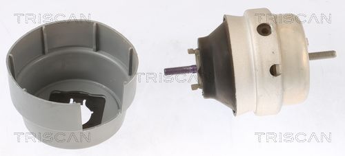 Suport motor TRISCAN 8505 29101