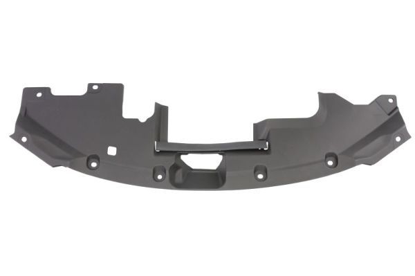 Ehis-/kaitseliist,Põrkeraud