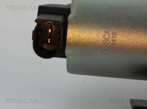 Levně AGR-Ventil TRISCAN 8813 43002