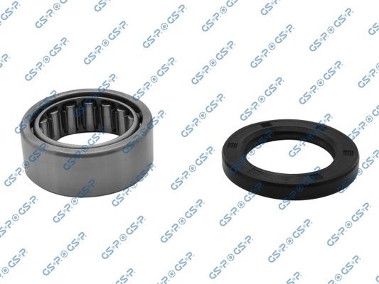 Zestaw łożysk koła GSP GK1905