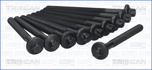 Zestaw śrub głowicy cylindrów TRISCAN 98-6008