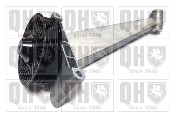 Napinacz, pasek klinowy wielorowkowy QUINTON HAZELL QTA1183